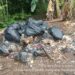 Diduga Buang Limbah MBG Sembarangan, GOWIL Pandeglang Siap Bongkar Fakta Lewat Konferensi Pers