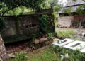 Penanganan Dampak Banjir Dinilai Lamban, Warga Kampung Apolo Kecewa terhadap Pemerintah Kabupaten Pandeglang