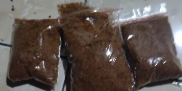 Diduga Langgar SOP, Program Makan Bergizi Gratis di Munjul Ganti Susu dengan Abon, Warga Protes