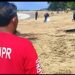 DPUPR Banten UPTD Pengelolaan DAS Ciliman-Cisawarna Bersama Musfikan Kecamatan Bayah Bersihkan Sampah di Pantai Pulomanuk