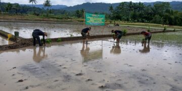 Bukan Sekadar Infrastruktur! TMMD Ke-127 Kodim 0607 Bangun Kedaulatan Pangan dari Desa Parakanlima