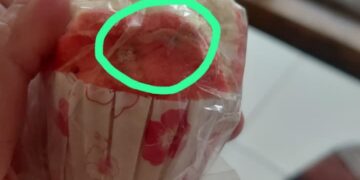 Wali Murid Di SDN 2 Sukanegara Kecewa Dengan Menu MBG Yang Sudah Berjamur
