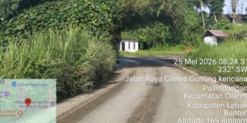 KETUA ORMAS BADAK BANTEN PERJUANGAN DPAC CILELES MINTA PUPR LEBAK SEGERA PANGKAS RUMPUT LIAR DI JALAN KABUPATEN