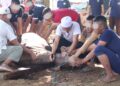 Wujud Kepedulian dan Kebersamaan, Lapas Serang Gelar Pemotongan Hewan Qurban Bersama Warga Binaan