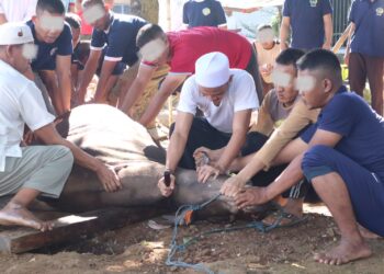 Wujud Kepedulian dan Kebersamaan, Lapas Serang Gelar Pemotongan Hewan Qurban Bersama Warga Binaan