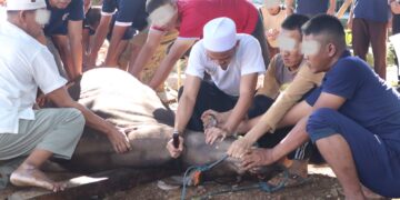 Wujud Kepedulian dan Kebersamaan, Lapas Serang Gelar Pemotongan Hewan Qurban Bersama Warga Binaan