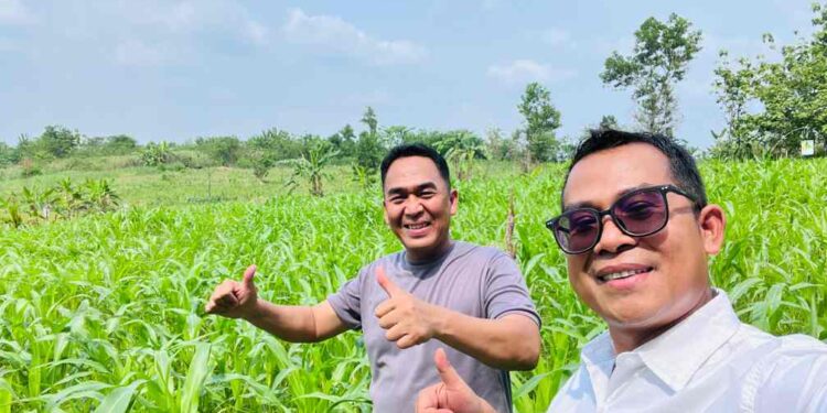 Kapolsek Panimbang Bersama Kepala BPP Sobang dan Kepala Desa Se-Kecamatan Sobang Monitoring Penanaman Jagung