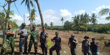 Pematangan Lahan TNI AL Bojongsalawe untuk Program Ketahanan Pangan TNI AL.